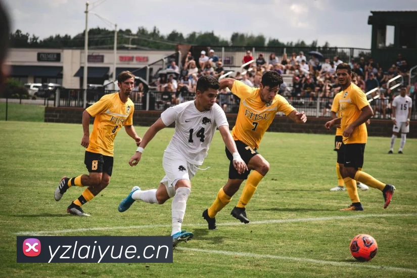 kaiyun体育app官网网页登录入口发展历程